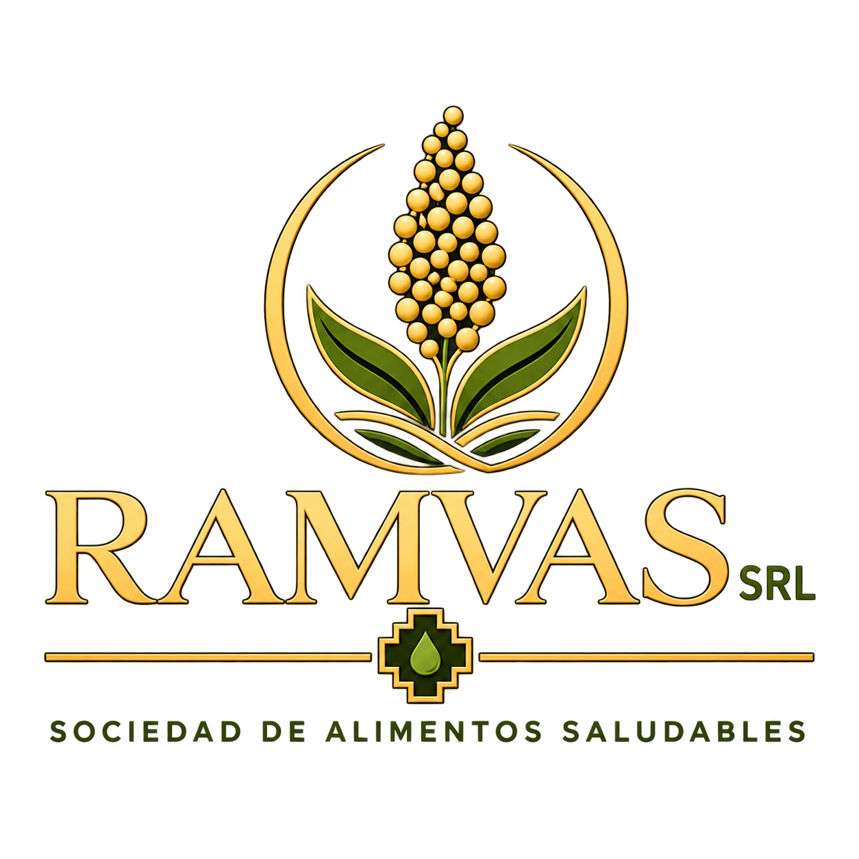 RAMVAS SRL